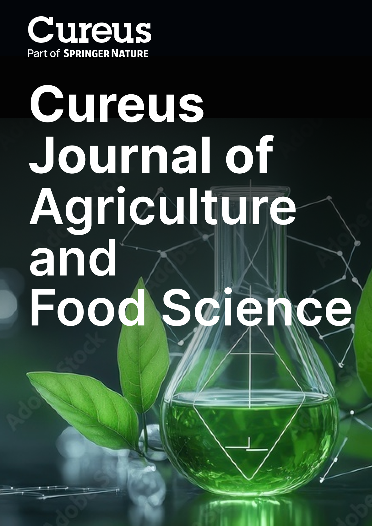 cover of Cureus Journal of Engineering